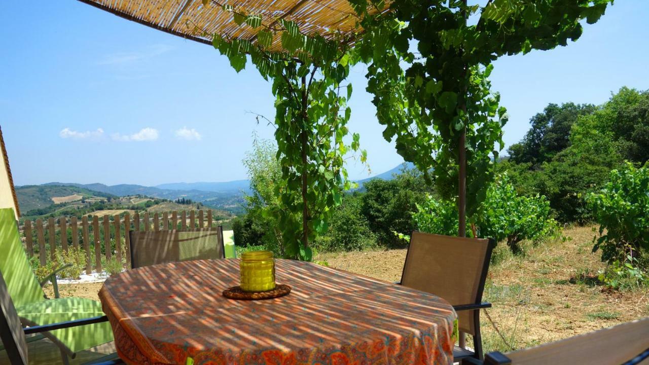 Gite Vigneron Du Domaine D'Alon Magrie Exterior foto